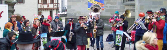 Zäpfle-Bräss Band, 800 Euro