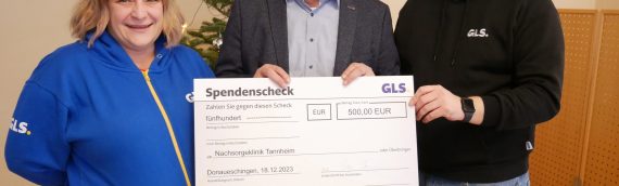 General Logistics Systems Germany GmbH & Co. OHG: 500,00 €