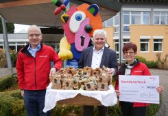 Stadtwerke Villingen-Schwenningen: 500,00 €